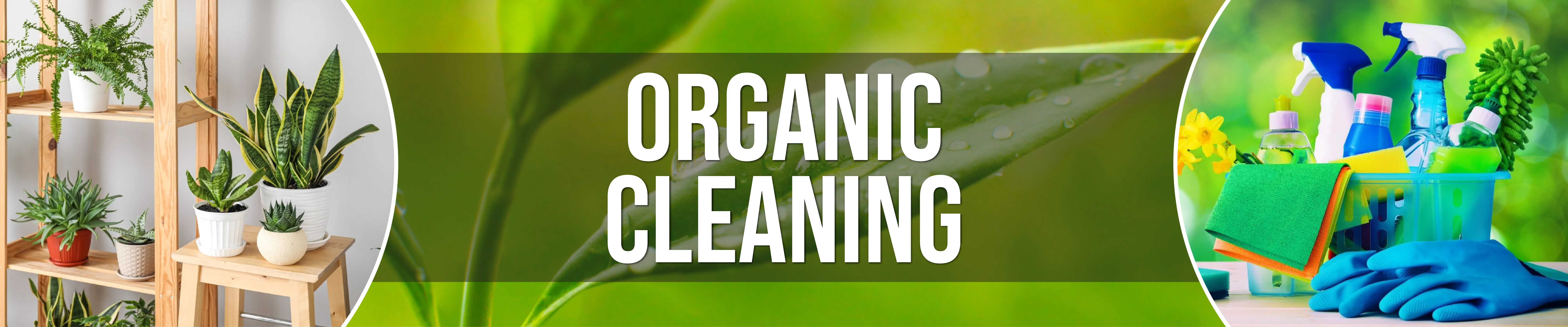 Organic Cleaning Services Brooklyn