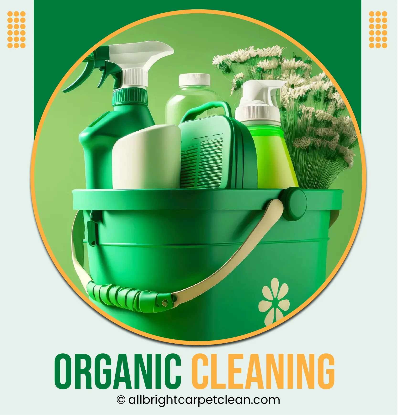 Organic Cleaning Services Brooklyn