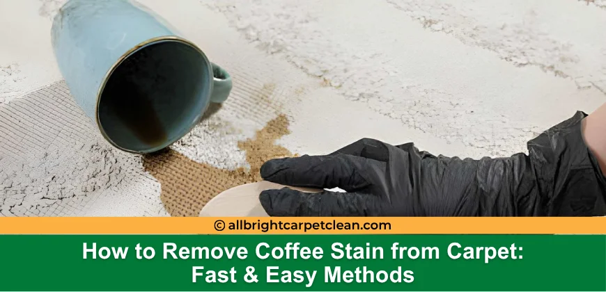 How to Remove Coffee Stain from Carpet: Fast &amp; Easy Methods