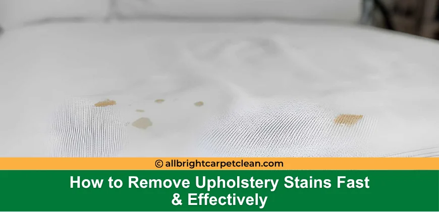 How to Remove Upholstery Stains Fast &amp; Effectively